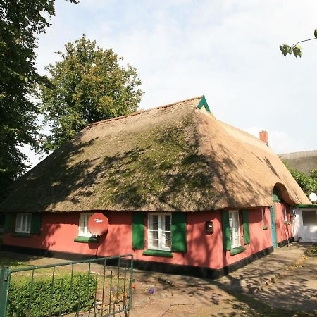 Ferienwohnung Unterm Rohrdach Wustrow  Exterior foto