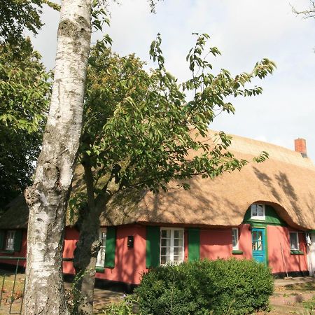 Ferienwohnung Unterm Rohrdach Wustrow  Exterior foto