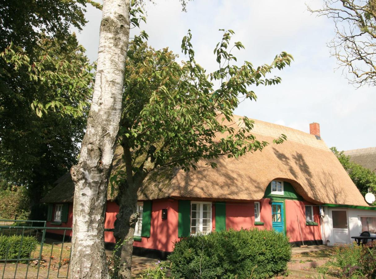 Ferienwohnung Unterm Rohrdach Wustrow  Exterior foto